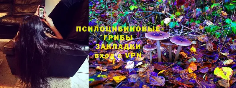 продажа наркотиков  MEGA ссылки  Псилоцибиновые грибы Magic Shrooms  Лесозаводск 